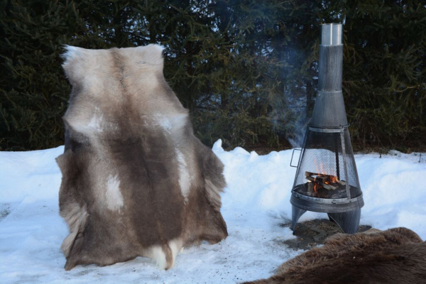 Öko Rentierfell Great Wild Lion Dunkel XXL – Rekord-Übergröße 150cm
